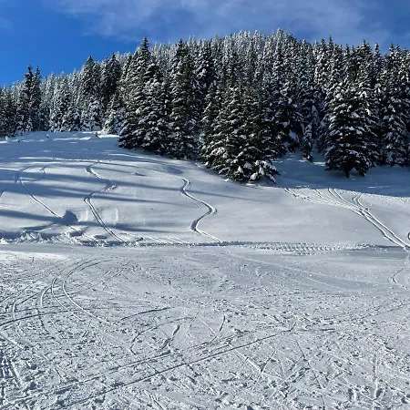 Apartma Lilija Golte 아파트 모지례