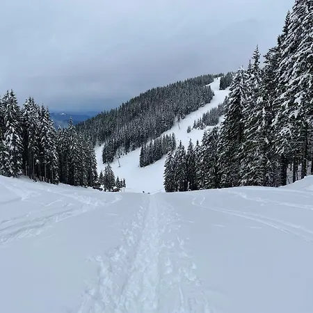 Apartma Lilija Golte 아파트 모지례