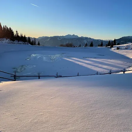 Apartma Lilija Golte *