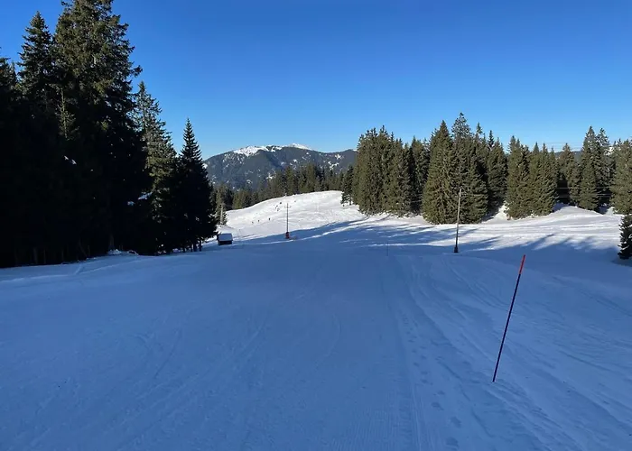 Apartma Lilija Golte *