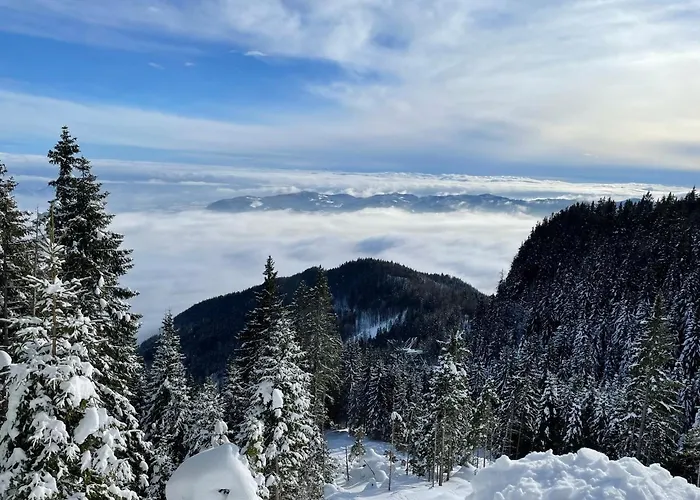 Apartma Lilija Golte *