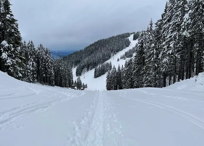 Apartma Lilija Golte Appartamento Mozirje